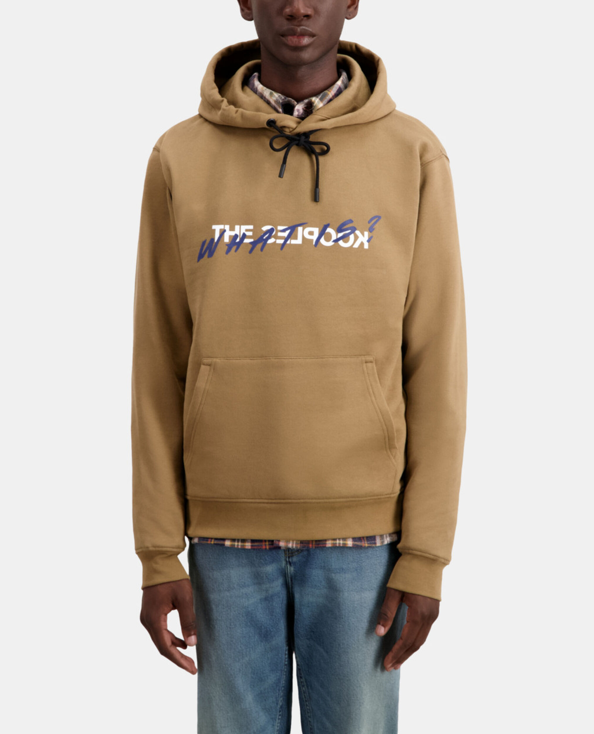 Sweatshirt à capuche What is camel, BROWN-BEIGE, hi-res image number null