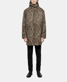 , LEOPARD, hi-res image number null