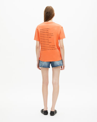 , ORANGE FLUO, hi-res image number null