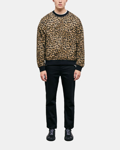 , LEOPARD, hi-res image number null