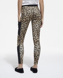 , LEOPARD, hi-res image number null