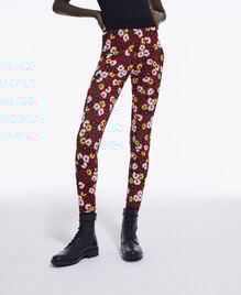 , DARK RED, hi-res image number null