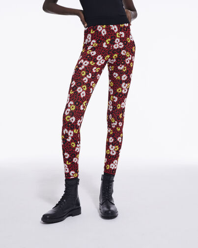 , DARK RED, hi-res image number null