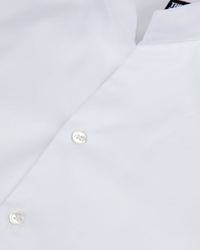 , WHITE, hi-res image number null