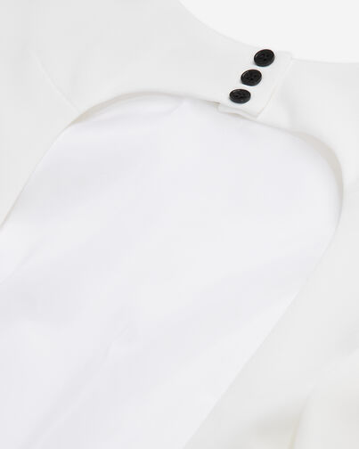 , WHITE, hi-res image number null