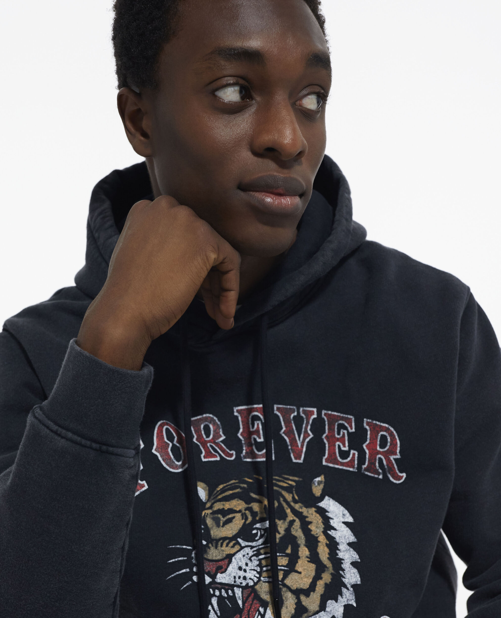 Hollister on sale hoodie tiger