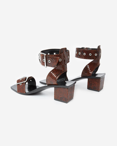 , BROWN, hi-res image number null