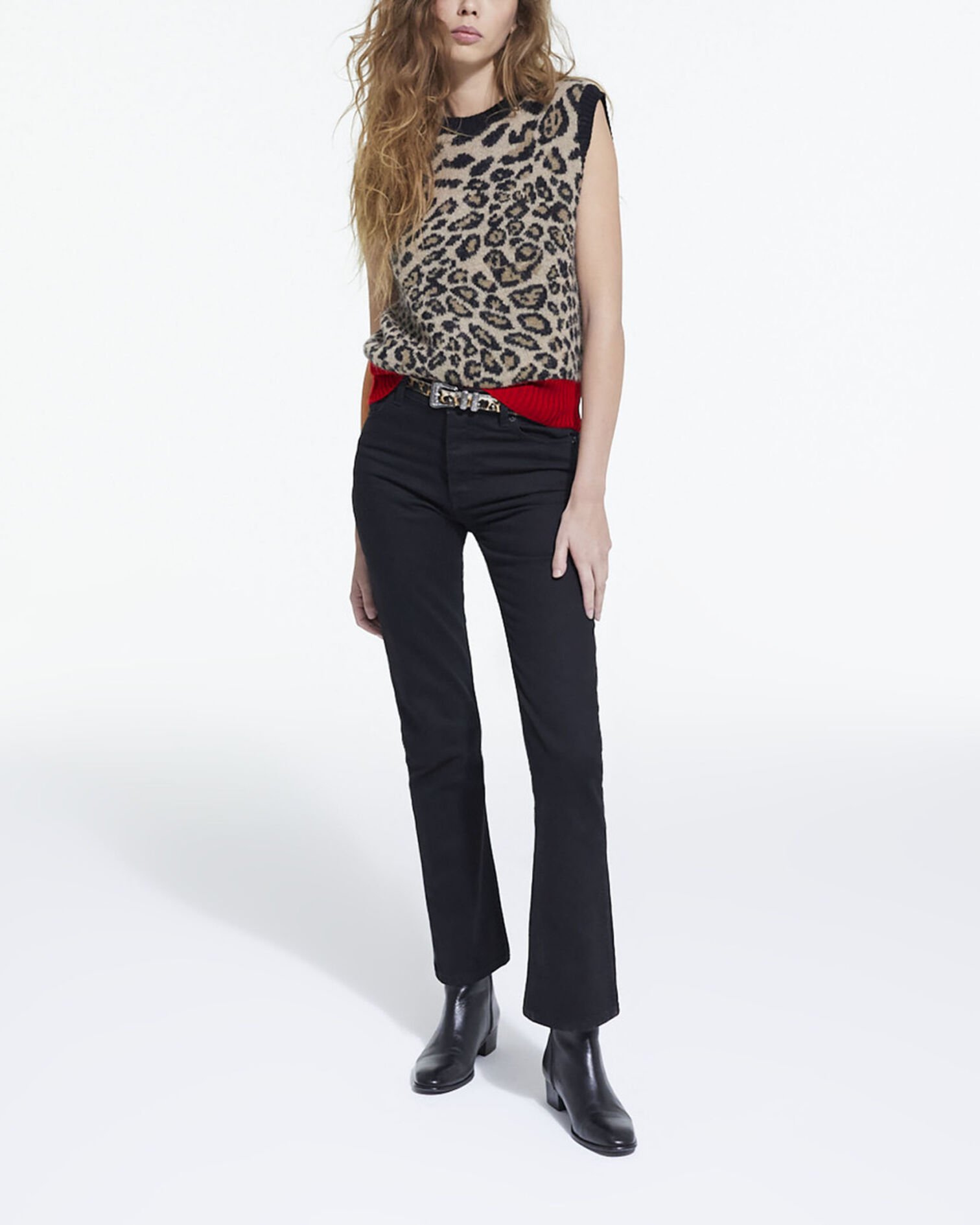 , LEOPARD, hi-res image number null