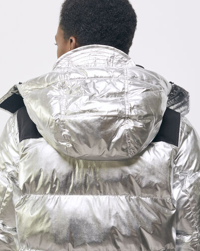 , SILVER, hi-res image number null