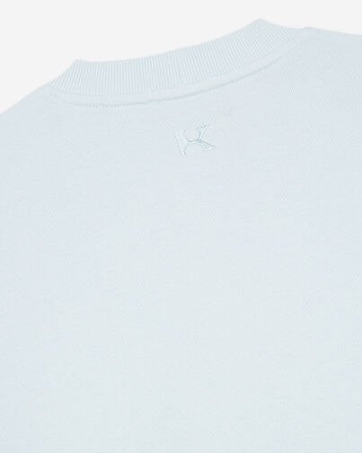 , BLUE, hi-res image number null