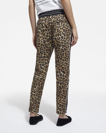 , LEOPARD, hi-res image number null