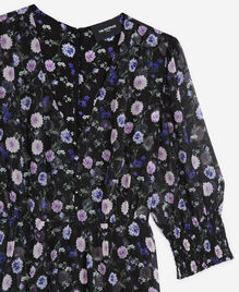 , BLACK-PURPLE, hi-res image number null