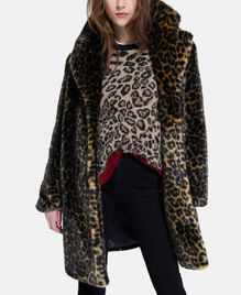 , LEOPARD, hi-res image number null