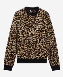 , LEOPARD, hi-res image number null