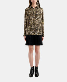 , LEOPARD, hi-res image number null