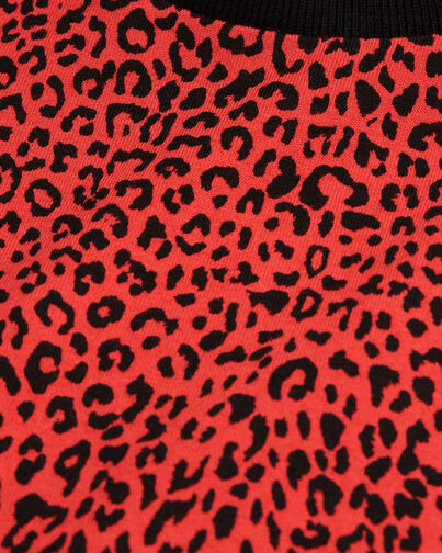 , DARK RED, hi-res image number null