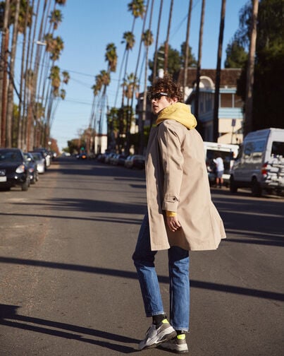 , BEIGE, hi-res image number null