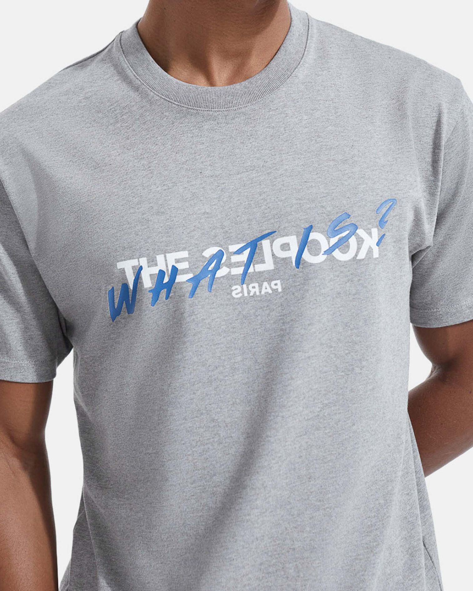 T-shirt gris coton imprimé What is, GREY MELANGE, hi-res image number null