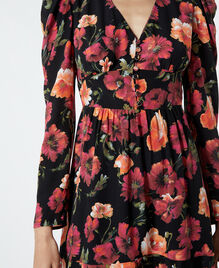, MULTICOLOR, hi-res image number null