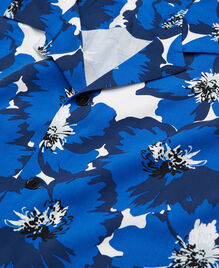 , BLUE, hi-res image number null