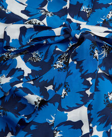 , BLUE, hi-res image number null