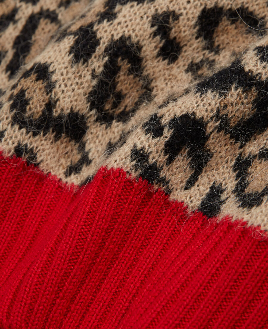 leopard print sweater