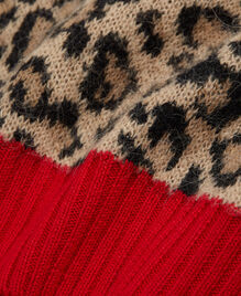 , LEOPARD, hi-res image number null