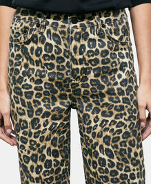 , LEOPARD, hi-res image number null
