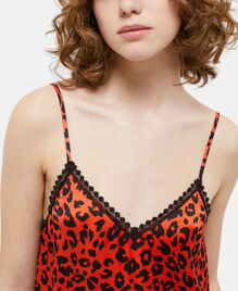 , ORANGE - BLACK, hi-res image number null