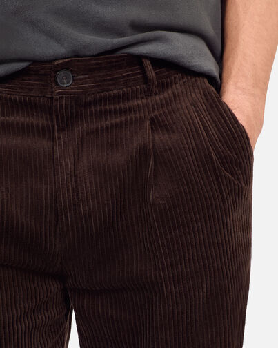 , BROWN, hi-res image number null
