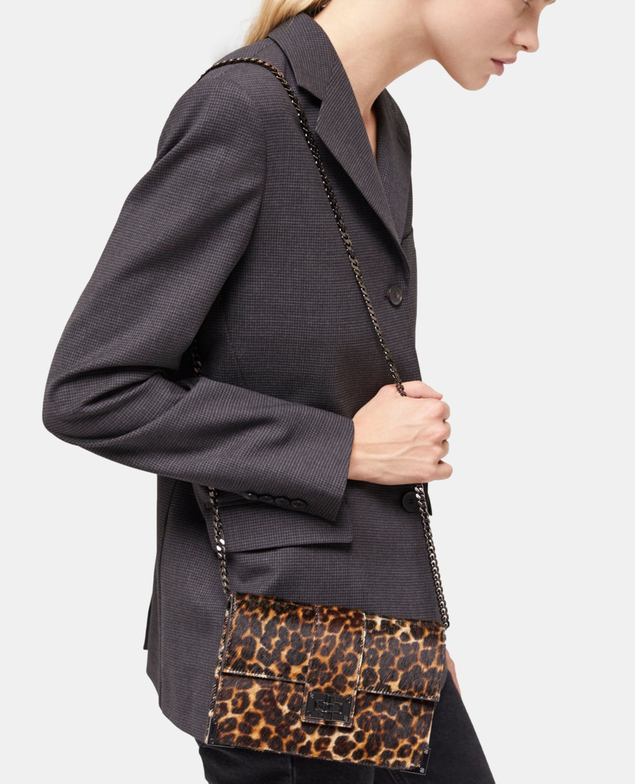 , LEOPARD, hi-res image number null