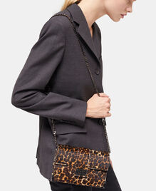 , LEOPARD, hi-res image number null