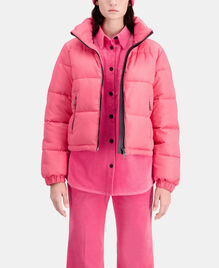, FUSHIA, hi-res image number null