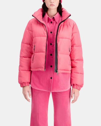 , FUSHIA, hi-res image number null