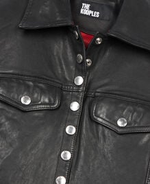, BLACK, hi-res image number null