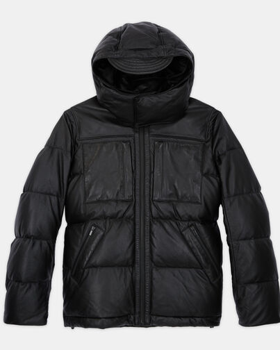 , BLACK, hi-res image number null