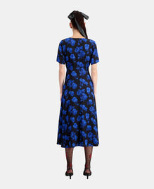, BLACK BLUE, hi-res image number null