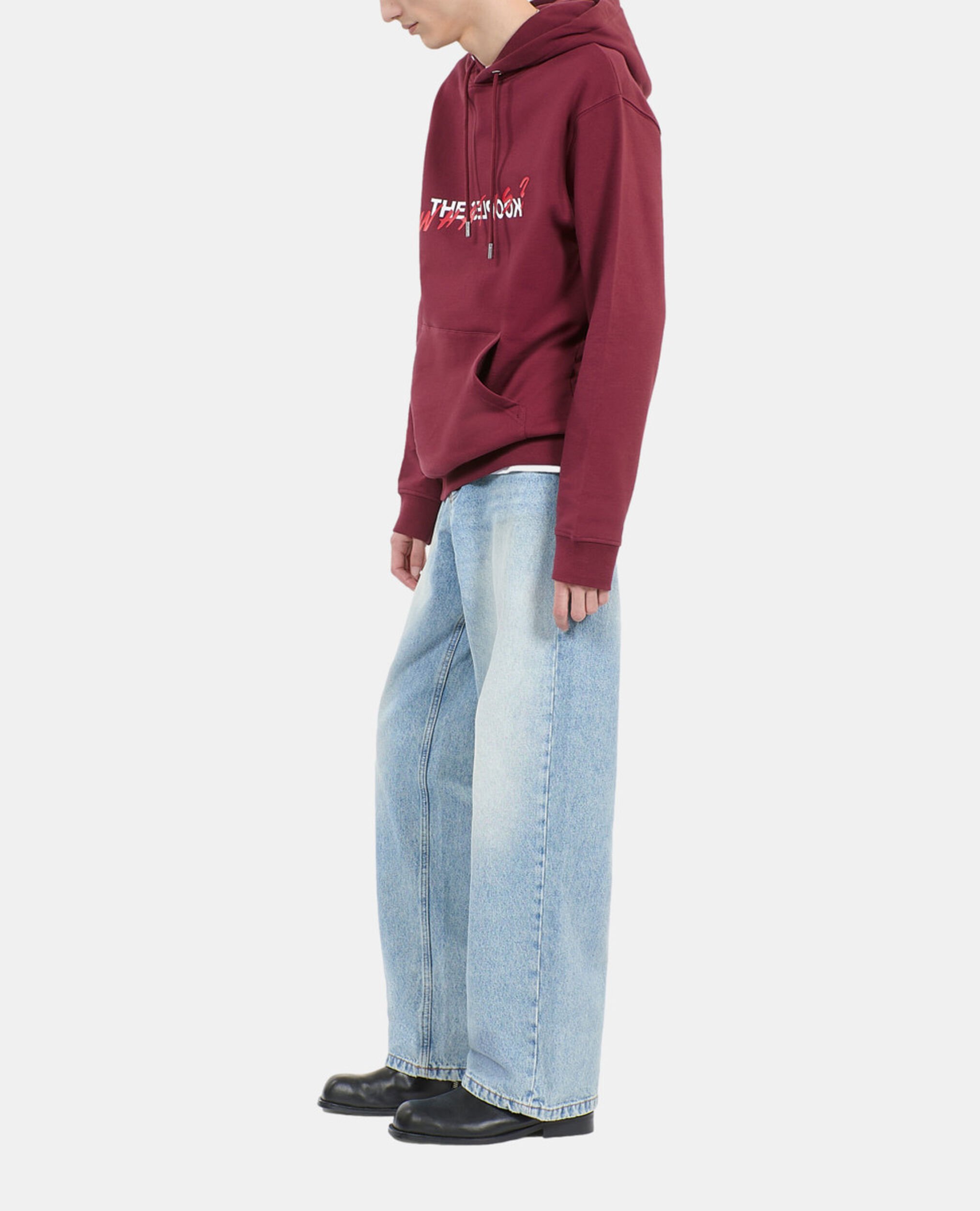 Sweatshirt à capuche What is bordeaux, BURGUNDY, hi-res image number null