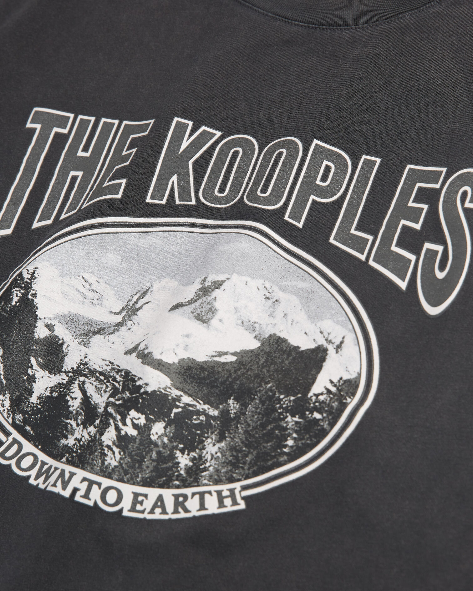 Black cotton T-shirt with mountain print, BLACK WASHED, hi-res image number null