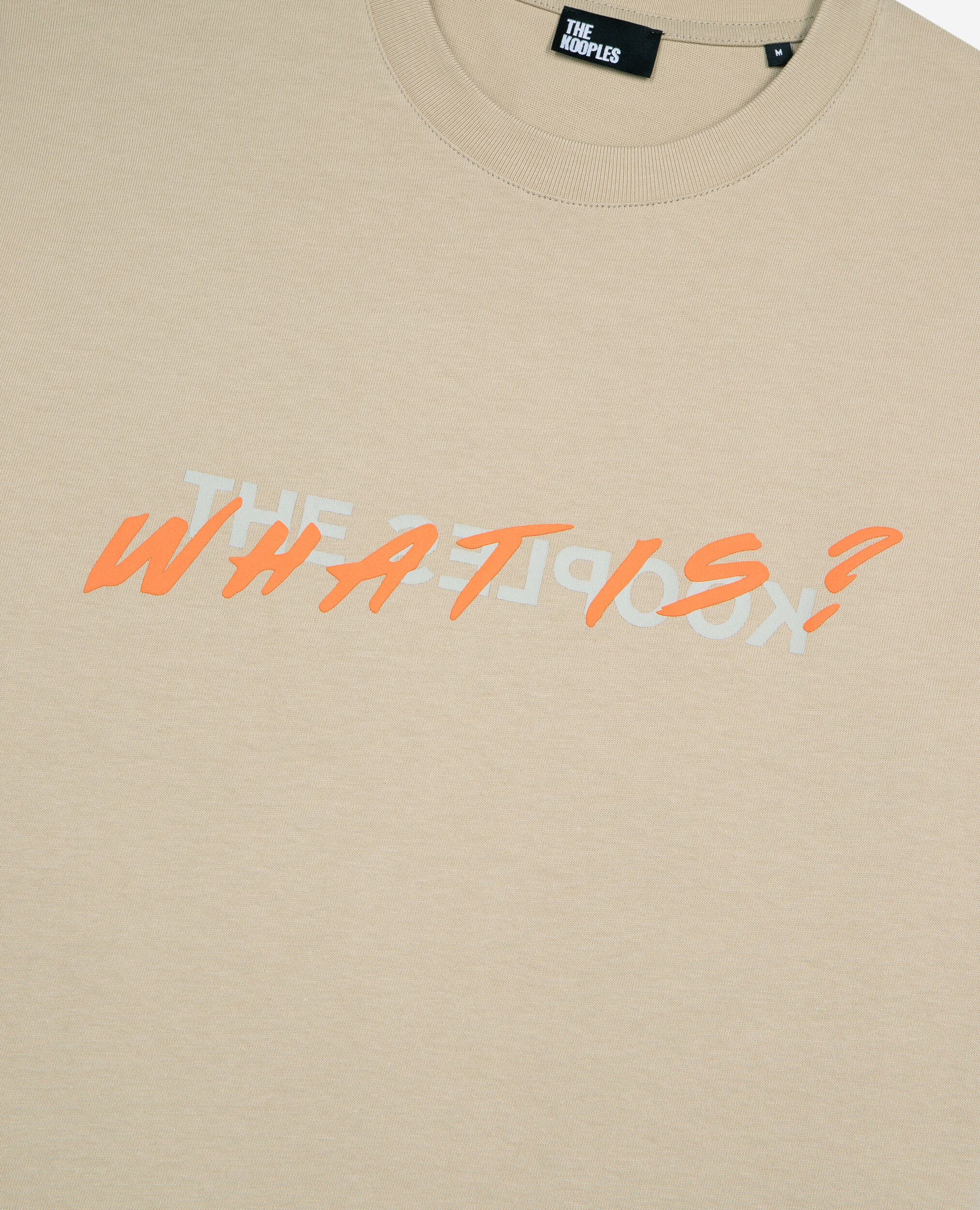 T-shirt What is beige, BEIGE TAUPE, hi-res image number null