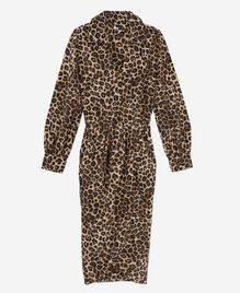 , LEOPARD, hi-res image number null