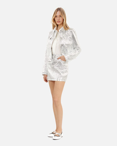 , SILVER, hi-res image number null