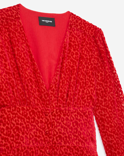, RED, hi-res image number null