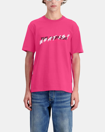 , FUSHIA, hi-res image number null
