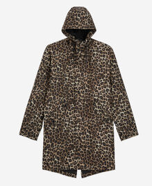 , LEOPARD, hi-res image number null