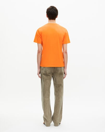 , ORANGE, hi-res image number null
