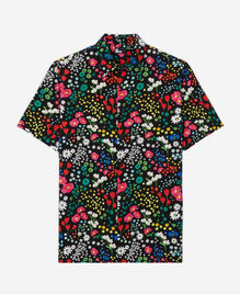 , MULTICOLOR, hi-res image number null