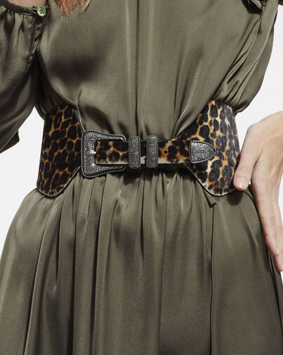 , LEOPARD, hi-res image number null