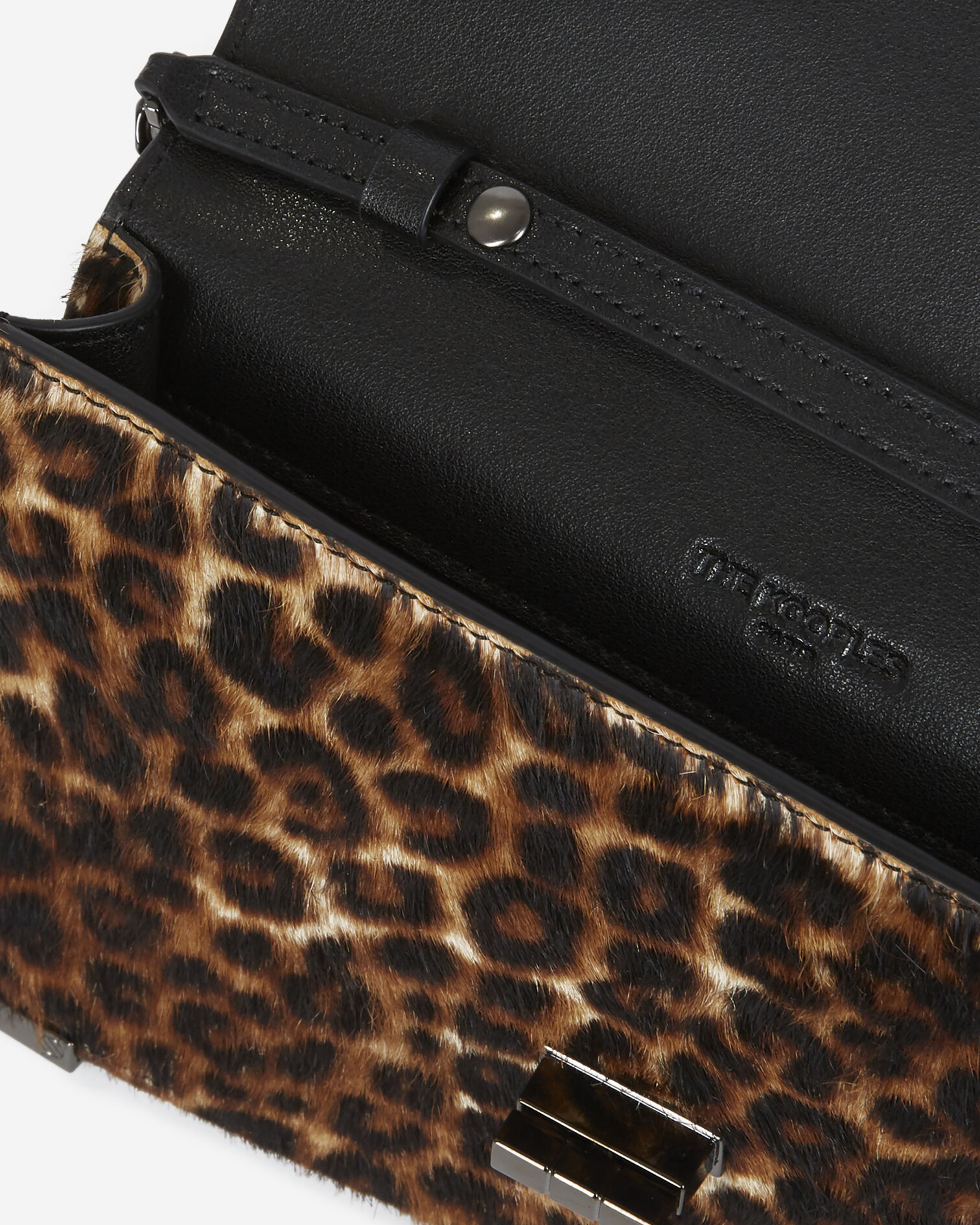 , LEOPARD, hi-res image number null