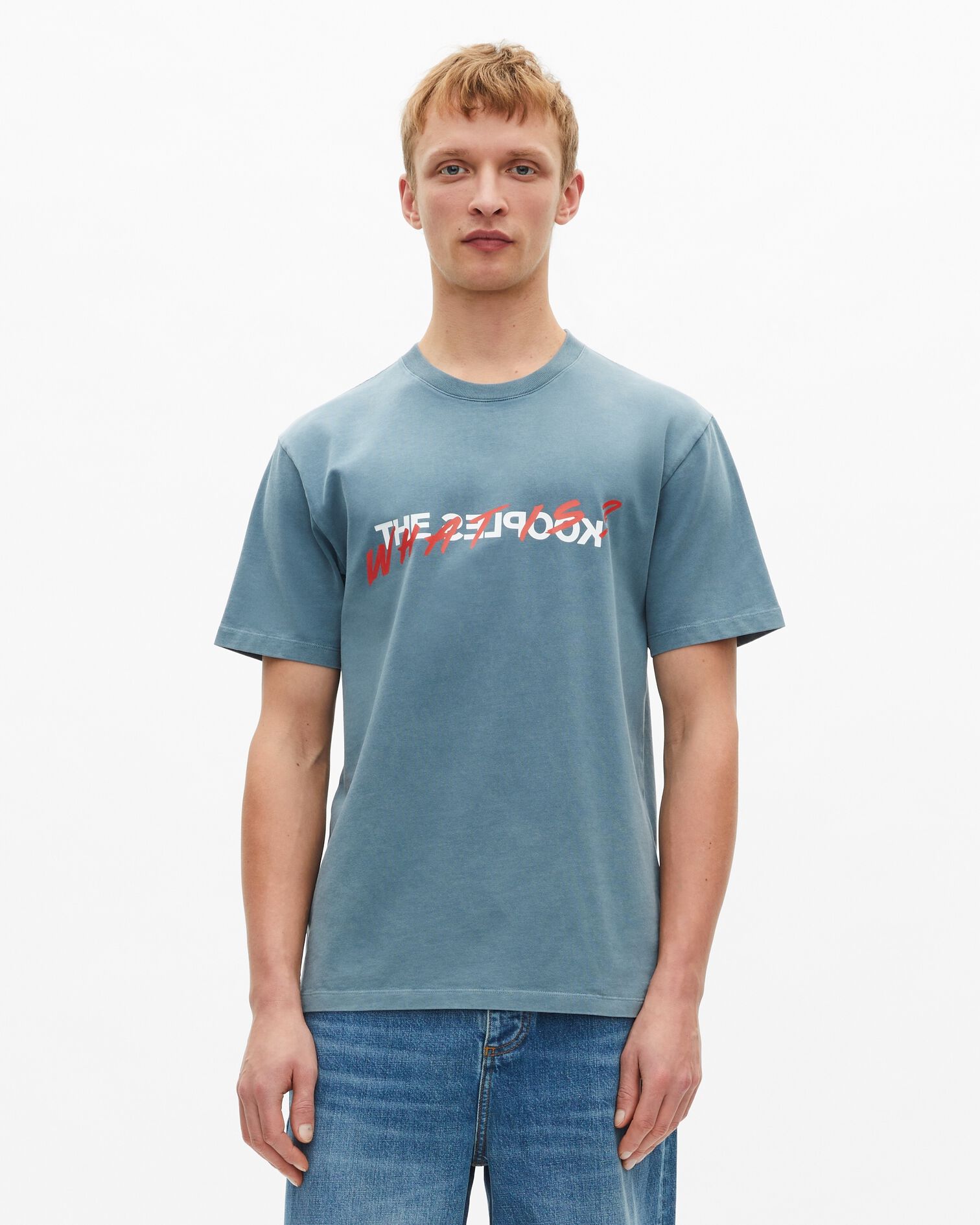 , BLUE GREY, hi-res image number null